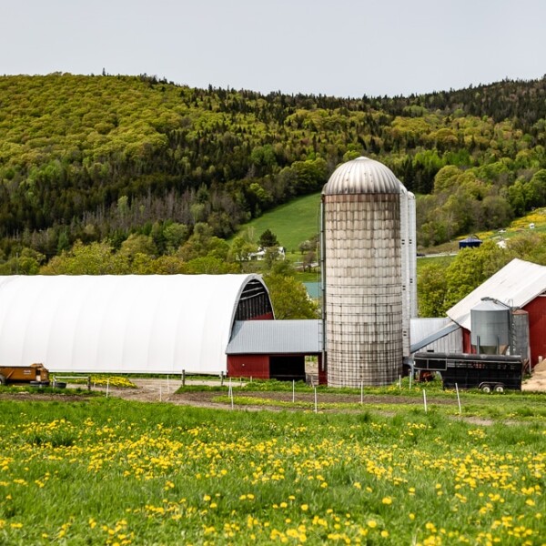 A view of one of the organic dairy farms that work with Stonyfield Organic. In Stowe Vermont